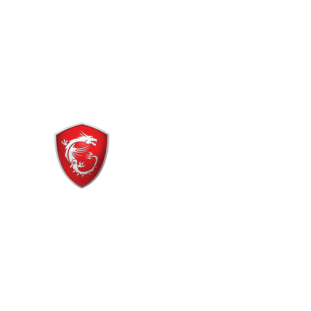 MSI 2